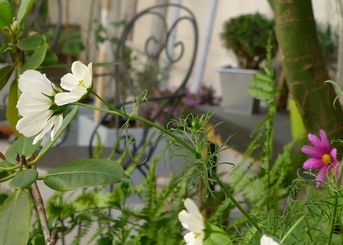 Hotel Cit'hotel Des Messageries